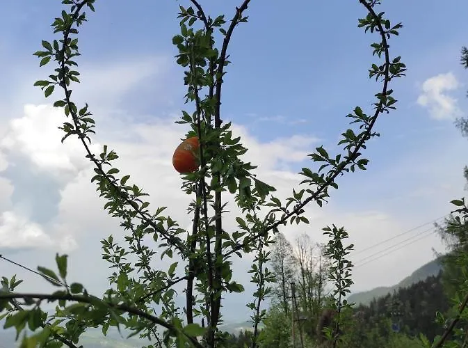 Smucarska Koca 3* Kotlje